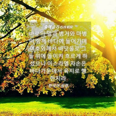 Picture 04 - 출애굽기 15:19 KOR - 바로의 말과 병거와 마병이 함께 - Bible Verse Picture