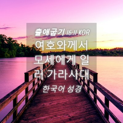 Picture 04 - 출애굽기 16:11 KOR - 여호와께서 모세에게 일러 - Bible Verse Picture