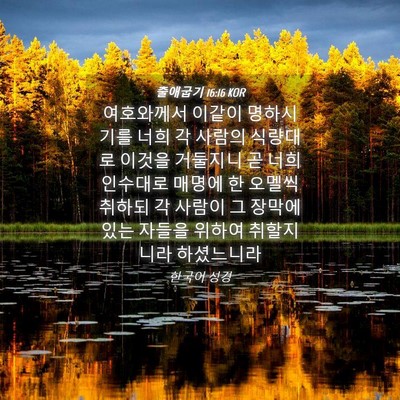 Picture 04 - 출애굽기 16:16 KOR - 여호와께서 이같이 명하시기를 너희 - Bible Verse Picture