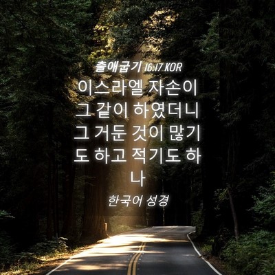 Picture 04 - 출애굽기 16:17 KOR - 이스라엘 자손이 그 같이 하였더니 - Bible Verse Picture