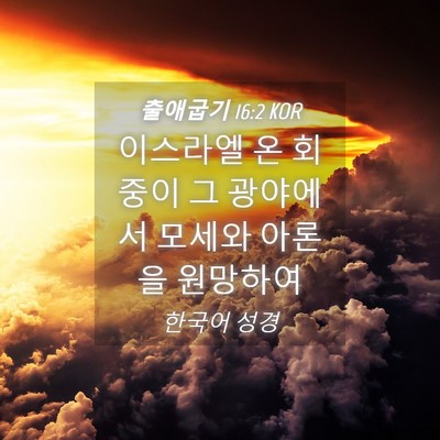 Picture 04 - 출애굽기 16:2 KOR - 이스라엘 온 회중이 그 광야에서 - Bible Verse Picture