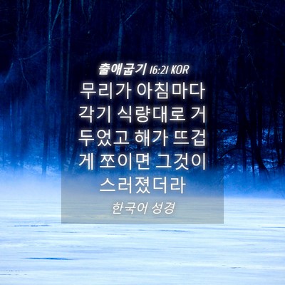 Picture 04 - 출애굽기 16:21 KOR - 무리가 아침마다 각기 식량대로 - Bible Verse Picture