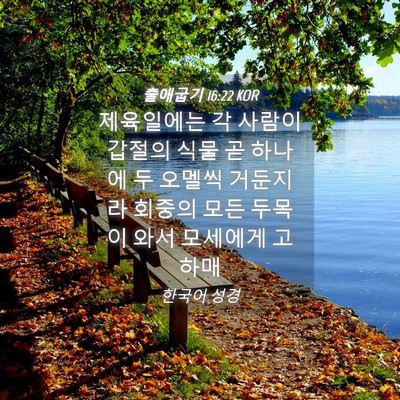Picture 04 - 출애굽기 16:22 KOR - 제육일에는 각 사람이 갑절의 식물 - Bible Verse Picture