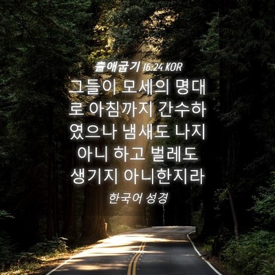 Picture 04 - 출애굽기 16:24 KOR - 그들이 모세의 명대로 아침까지 - Bible Verse Picture