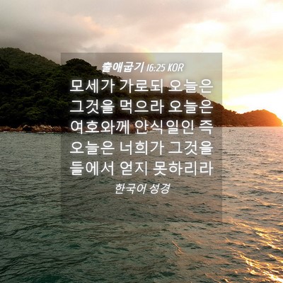 Picture 04 - 출애굽기 16:25 KOR - 모세가 가로되 오늘은 그것을 먹으라 - Bible Verse Picture