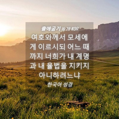 Picture 04 - 출애굽기 16:28 KOR - 여호와께서 모세에게 이르시되 어느 - Bible Verse Picture