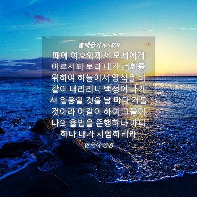 Picture 04 - 출애굽기 16:4 KOR - 때에 여호와께서 모세에게 이르시되 - Bible Verse Picture