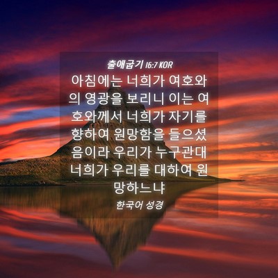Picture 04 - 출애굽기 16:7 KOR - 아침에는 너희가 여호와의 영광을 - Bible Verse Picture