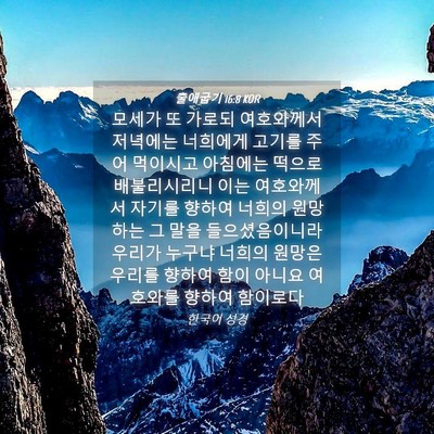 Picture 04 - 출애굽기 16:8 KOR - 모세가 또 가로되 여호와께서 - Bible Verse Picture