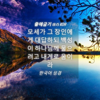 Picture 04 - 출애굽기 18:15 KOR - 모세가 그 장인에게 대답하되 백성이 - Bible Verse Picture