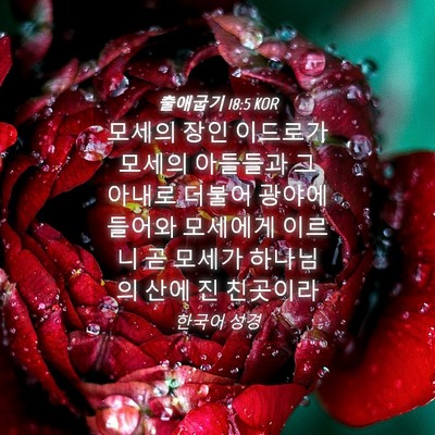Picture 04 - 출애굽기 18:5 KOR - 모세의 장인 이드로가 모세의 - Bible Verse Picture