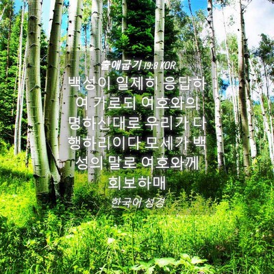 Picture 04 - 출애굽기 19:8 KOR - 백성이 일제히 응답하여 가로되 - Bible Verse Picture