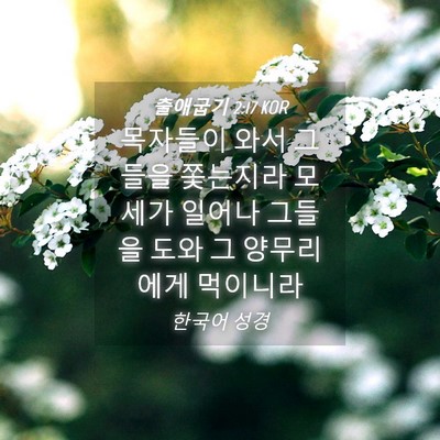 Picture 04 - 출애굽기 2:17 KOR - 목자들이 와서 그들을 쫓는지라 - Bible Verse Picture