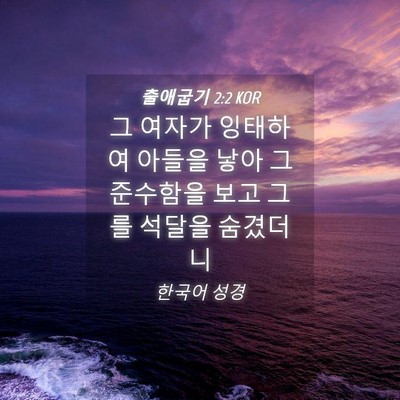 Picture 04 - 출애굽기 2:2 KOR - 그 여자가 잉태하여 아들을 낳아 그 - Bible Verse Picture