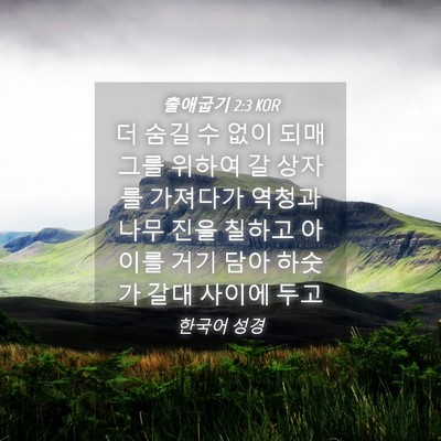Picture 04 - 출애굽기 2:3 KOR - 더 숨길 수 없이 되매 그를 위하여 갈 - Bible Verse Picture