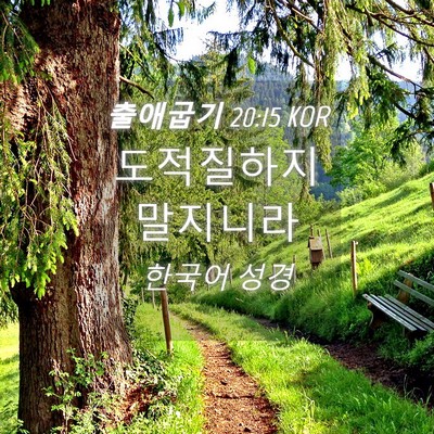 Picture 04 - 출애굽기 20:15 KOR - 도적질하지 - Bible Verse Picture