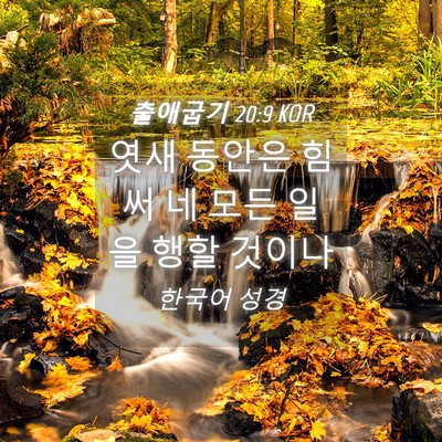 Picture 04 - 출애굽기 20:9 KOR - 엿새 동안은 힘써 네 모든 일을 행할 - Bible Verse Picture