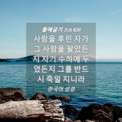 Picture 04 - 출애굽기 21:16 KOR - 사람을 후린 자가 그 사람을 - Bible Verse Picture