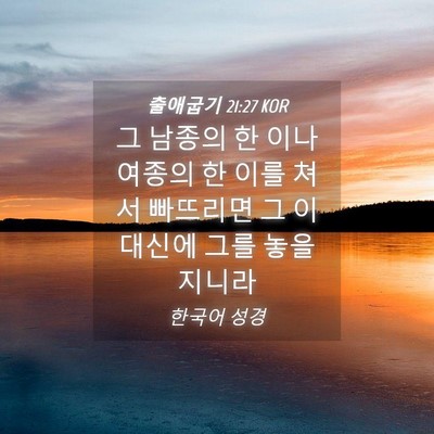 Picture 04 - 출애굽기 21:27 KOR - 그 남종의 한 이나 여종의 한 이를 - Bible Verse Picture