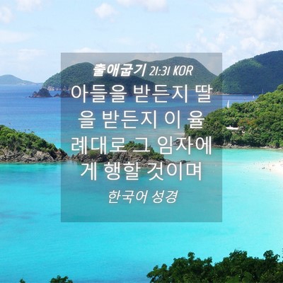 Picture 04 - 출애굽기 21:31 KOR - 아들을 받든지 딸을 받든지 이 - Bible Verse Picture