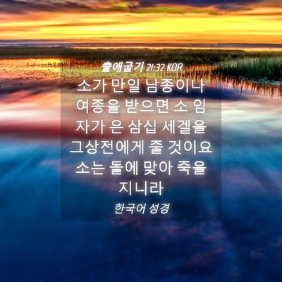 Picture 04 - 출애굽기 21:32 KOR - 소가 만일 남종이나 여종을 받으면 - Bible Verse Picture