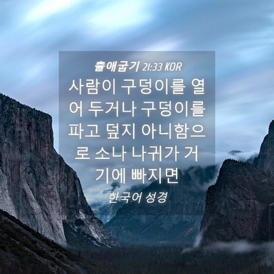 Picture 04 - 출애굽기 21:33 KOR - 사람이 구덩이를 열어 두거나 - Bible Verse Picture