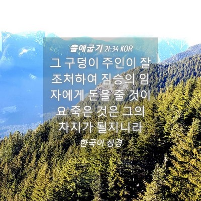 Picture 04 - 출애굽기 21:34 KOR - 그 구덩이 주인이 잘 조처하여 - Bible Verse Picture
