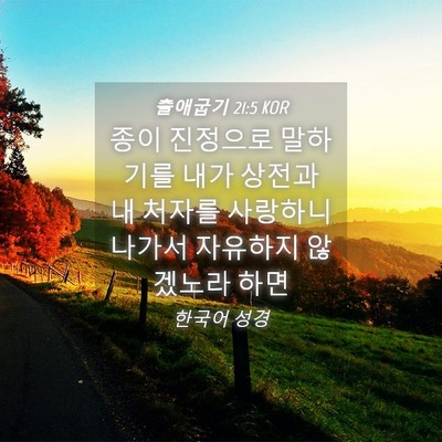 Picture 04 - 출애굽기 21:5 KOR - 종이 진정으로 말하기를 내가 상전과 - Bible Verse Picture
