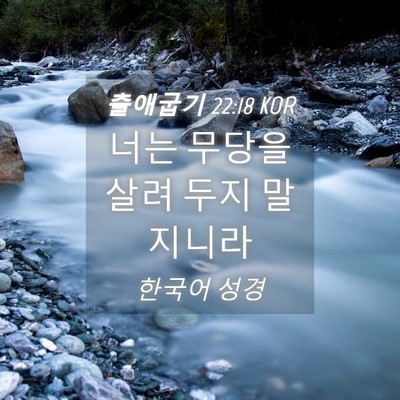 Picture 04 - 출애굽기 22:18 KOR - 너는 무당을 살려 두지 - Bible Verse Picture