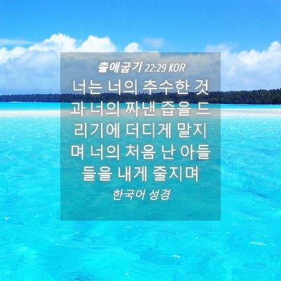 Picture 04 - 출애굽기 22:29 KOR - 너는 너의 추수한 것과 너의 짜낸 - Bible Verse Picture
