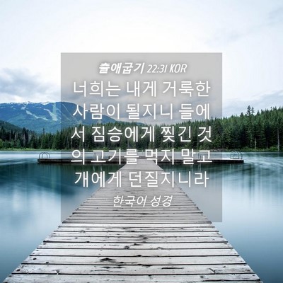 Picture 04 - 출애굽기 22:31 KOR - 너희는 내게 거룩한 사람이 될지니 - Bible Verse Picture