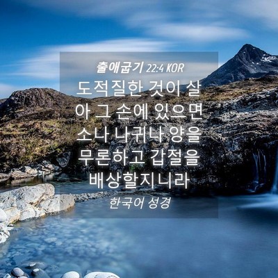 Picture 04 - 출애굽기 22:4 KOR - 도적질한 것이 살아 그 손에 있으면 - Bible Verse Picture