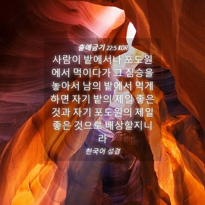 Picture 04 - 출애굽기 22:5 KOR - 사람이 밭에서나 포도원에서 - Bible Verse Picture