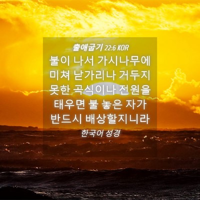 Picture 04 - 출애굽기 22:6 KOR - 불이 나서 가시나무에 미쳐 낟가리나 - Bible Verse Picture