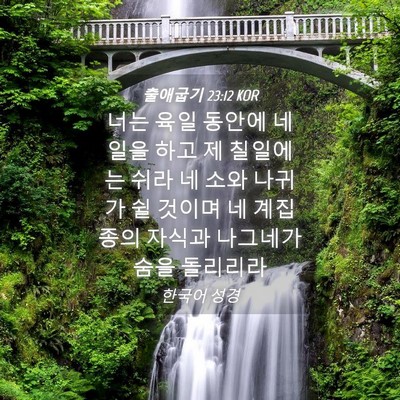 Picture 04 - 출애굽기 23:12 KOR - 너는 육일 동안에 네 일을 하고 제 - Bible Verse Picture