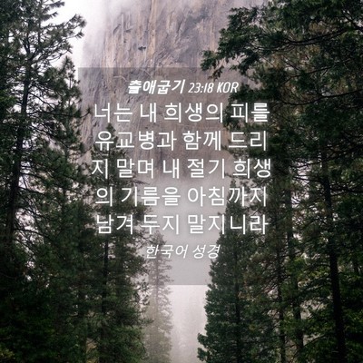 Picture 04 - 출애굽기 23:18 KOR - 너는 내 희생의 피를 유교병과 함께 - Bible Verse Picture