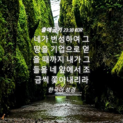 Picture 04 - 출애굽기 23:30 KOR - 네가 번성하여 그 땅을 기업으로 - Bible Verse Picture
