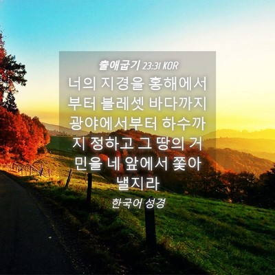 Picture 04 - 출애굽기 23:31 KOR - 너의 지경을 홍해에서부터 블레셋 - Bible Verse Picture