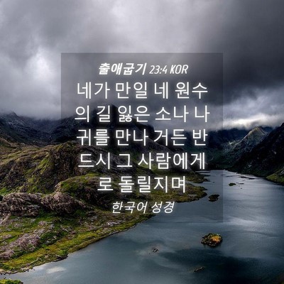 Picture 04 - 출애굽기 23:4 KOR - 네가 만일 네 원수의 길 잃은 소나 - Bible Verse Picture