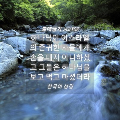 Picture 04 - 출애굽기 24:11 KOR - 하나님이 이스라엘의 존귀한 - Bible Verse Picture