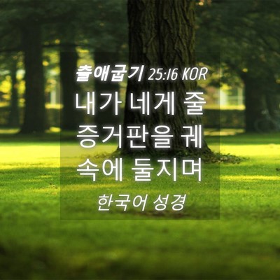 Picture 04 - 출애굽기 25:16 KOR - 내가 네게 줄 증거판을 궤 속에 - Bible Verse Picture