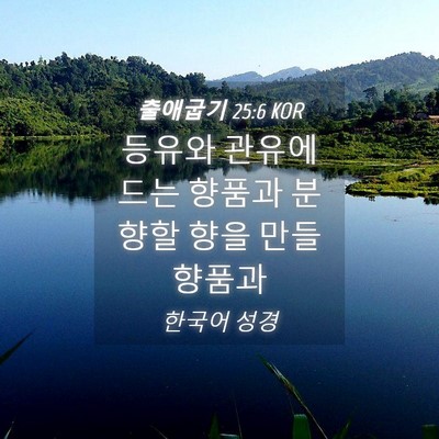 Picture 04 - 출애굽기 25:6 KOR - 등유와 관유에 드는 향품과 분향할 - Bible Verse Picture