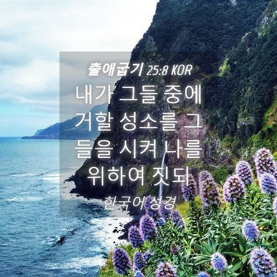 Picture 04 - 출애굽기 25:8 KOR - 내가 그들 중에 거할 성소를 그들을 - Bible Verse Picture