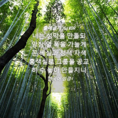Picture 04 - 출애굽기 26:1 KOR - 너는 성막을 만들되 앙장 열 폭을 - Bible Verse Picture