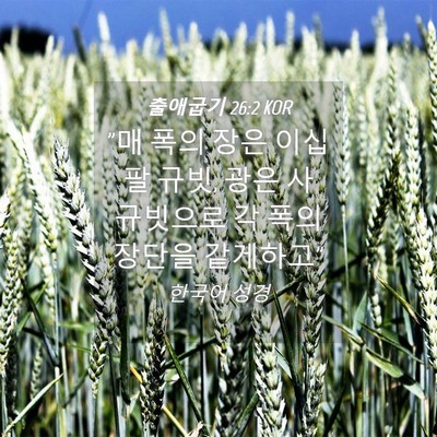 Picture 04 - 출애굽기 26:2 KOR - 