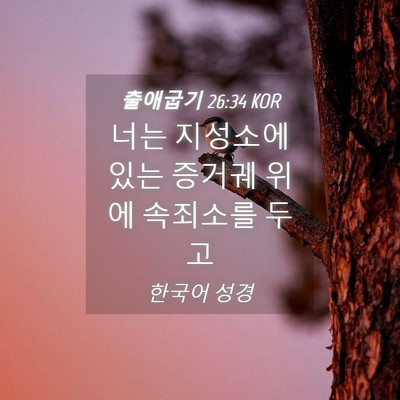 Picture 04 - 출애굽기 26:34 KOR - 너는 지성소에 있는 증거궤 위에 - Bible Verse Picture