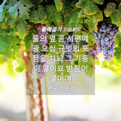 Picture 04 - 출애굽기 27:12 KOR - 뜰의 옆 곧 서편에 광 오십 규빗의 - Bible Verse Picture