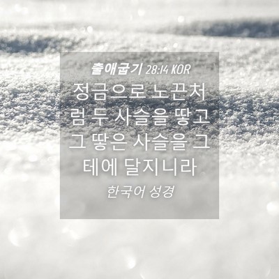 Picture 04 - 출애굽기 28:14 KOR - 정금으로 노끈처럼 두 사슬을 땋고 - Bible Verse Picture