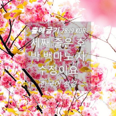 Picture 04 - 출애굽기 28:19 KOR - 세째 줄은 호박 백마노 - Bible Verse Picture