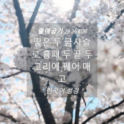 Picture 04 - 출애굽기 28:24 KOR - 땋은 두 금사슬로 흉패 두 끝 두 - Bible Verse Picture